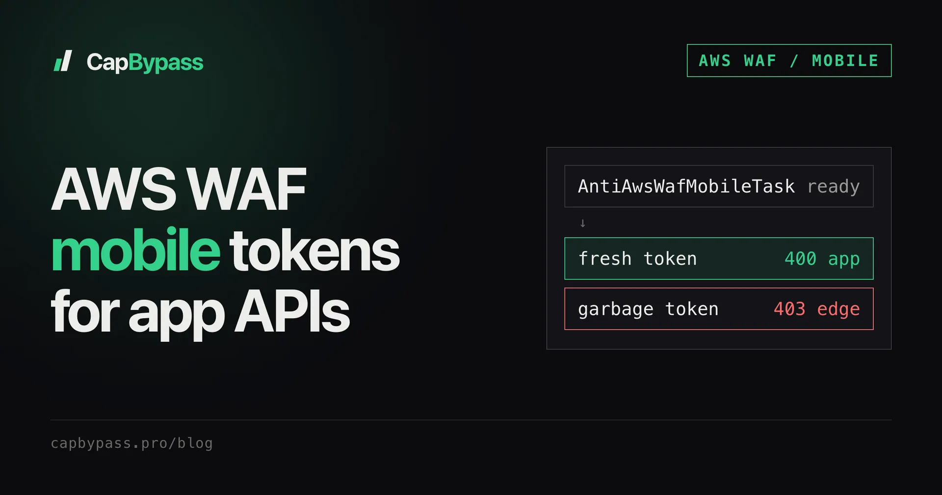 AWS WAF mobile SDK tokens for native app APIs